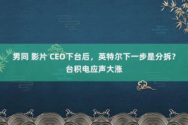 男同 影片 CEO下台后，英特尔下一步是分拆？台积电应声大涨