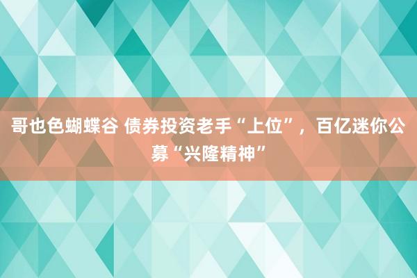 哥也色蝴蝶谷 债券投资老手“上位”，百亿迷你公募“兴隆精神”