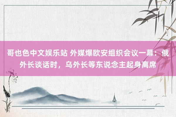 哥也色中文娱乐站 外媒爆欧安组织会议一幕：俄外长谈话时，乌外长等东说念主起身离席