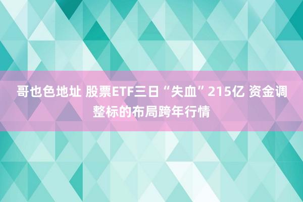 哥也色地址 股票ETF三日“失血”215亿 资金调整标的布局跨年行情