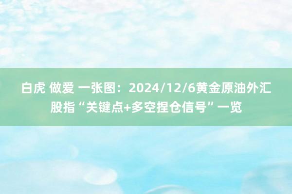 白虎 做爱 一张图：2024/12/6黄金原油外汇股指“关键点+多空捏仓信号”一览