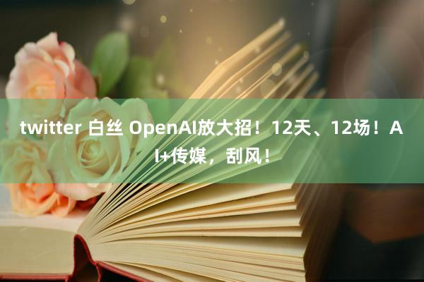 twitter 白丝 OpenAI放大招！12天、12场！AI+传媒，刮风！