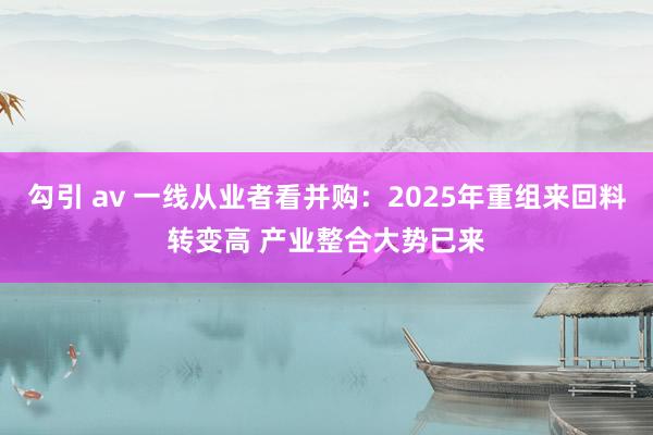 勾引 av 一线从业者看并购：2025年重组来回料转变高 产业整合大势已来