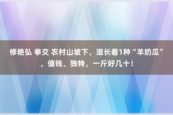 修艳弘 拳交 农村山坡下，滋长着1种“羊奶瓜”，值钱、独特，一斤好几十！