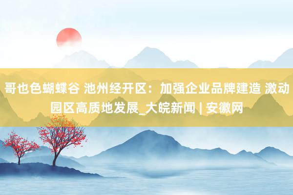 哥也色蝴蝶谷 池州经开区：加强企业品牌建造 激动园区高质地发展_大皖新闻 | 安徽网