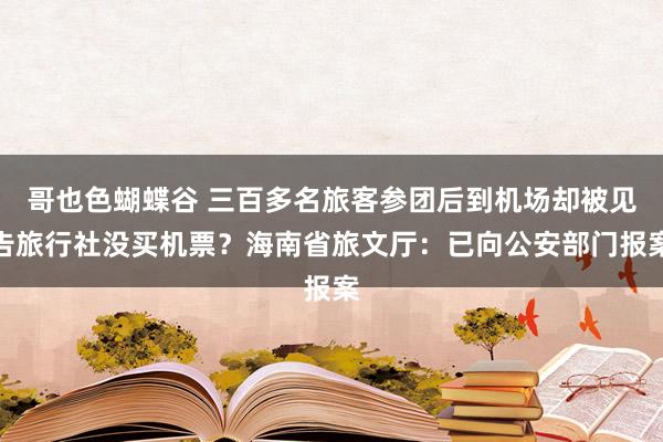 哥也色蝴蝶谷 三百多名旅客参团后到机场却被见告旅行社没买机票？海南省旅文厅：已向公安部门报案