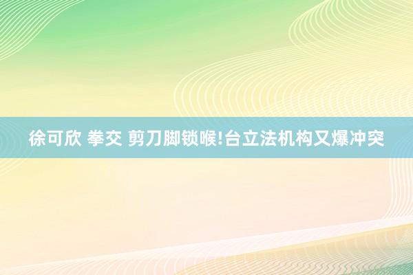 徐可欣 拳交 剪刀脚锁喉!台立法机构又爆冲突