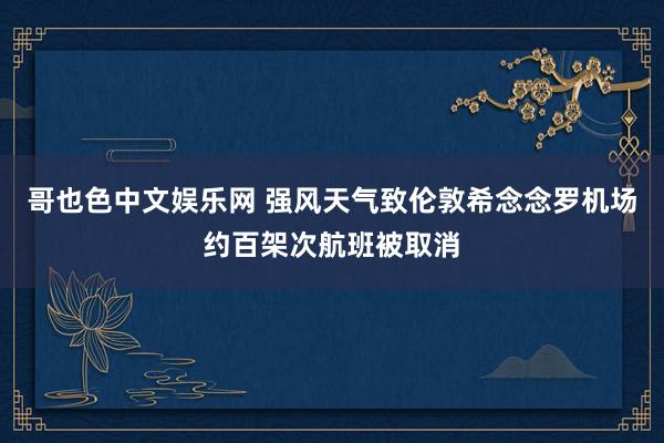 哥也色中文娱乐网 强风天气致伦敦希念念罗机场约百架次航班被取消