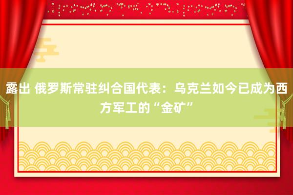 露出 俄罗斯常驻纠合国代表：乌克兰如今已成为西方军工的“金矿”