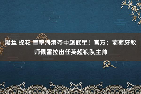 黑丝 探花 曾率海港夺中超冠军！官方：葡萄牙教师佩雷拉出任英超狼队主帅