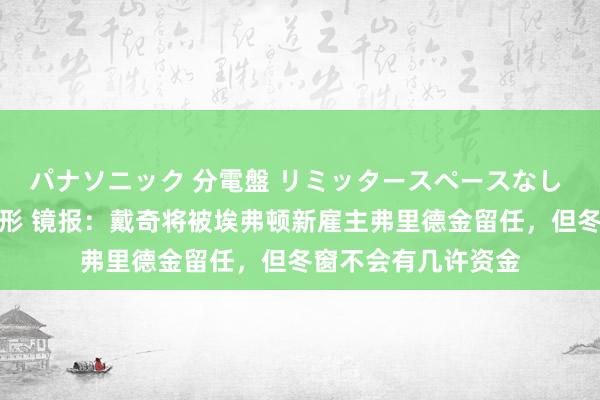 パナソニック 分電盤 リミッタースペースなし 露出・半埋込両用形 镜报：戴奇将被埃弗顿新雇主弗里德金留任，但冬窗不会有几许资金