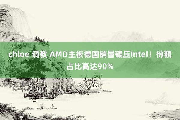 chloe 调教 AMD主板德国销量碾压Intel！份额占比高达90%