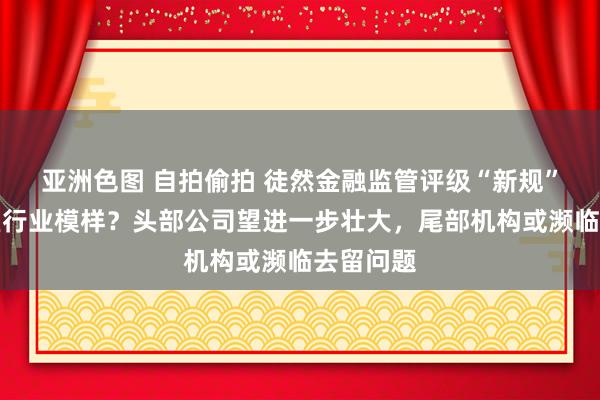 亚洲色图 自拍偷拍 徒然金融监管评级“新规”会否重塑行业模样？头部公司望进一步壮大，尾部机构或濒临去留问题