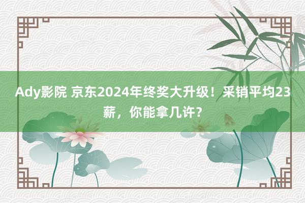 Ady影院 京东2024年终奖大升级！采销平均23薪，你能拿几许？