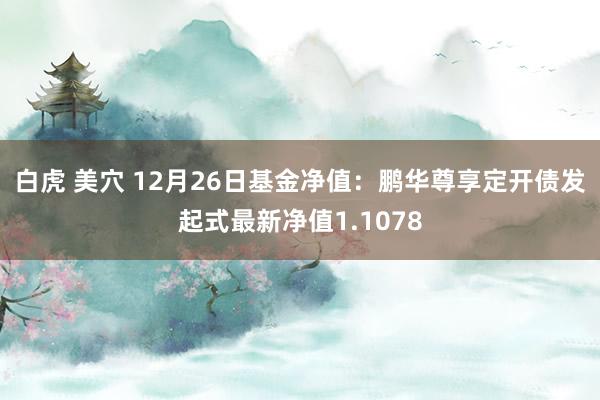 白虎 美穴 12月26日基金净值：鹏华尊享定开债发起式最新净值1.1078