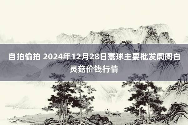 自拍偷拍 2024年12月28日寰球主要批发阛阓白灵菇价钱行情