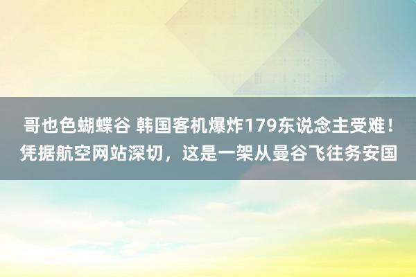 哥也色蝴蝶谷 韩国客机爆炸179东说念主受难！凭据航空网站深切，这是一架从曼谷飞往务安国