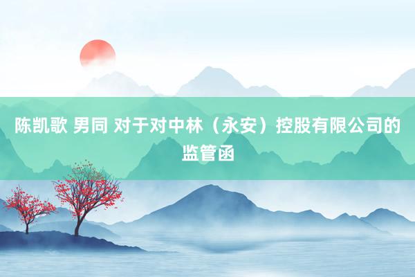 陈凯歌 男同 对于对中林（永安）控股有限公司的监管函