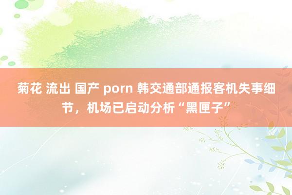 菊花 流出 国产 porn 韩交通部通报客机失事细节，机场已启动分析“黑匣子”