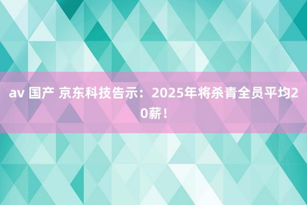 av 国产 京东科技告示：2025年将杀青全员平均20薪！