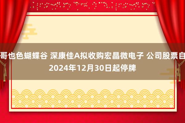 哥也色蝴蝶谷 深康佳A拟收购宏晶微电子 公司股票自2024年12月30日起停牌