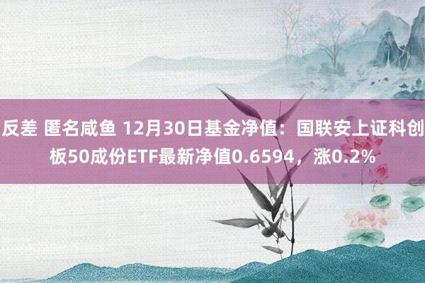 反差 匿名咸鱼 12月30日基金净值：国联安上证科创板50成份ETF最新净值0.6594，涨0.2%