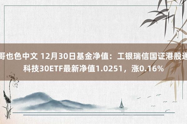 哥也色中文 12月30日基金净值：工银瑞信国证港股通科技30ETF最新净值1.0251，涨0.16%