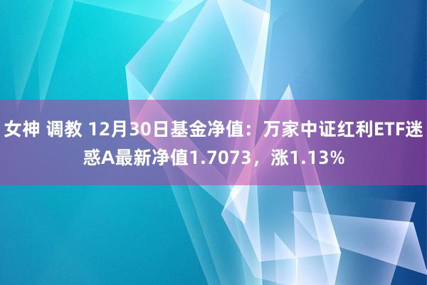 女神 调教 12月30日基金净值：万家中证红利ETF迷惑A最新净值1.7073，涨1.13%