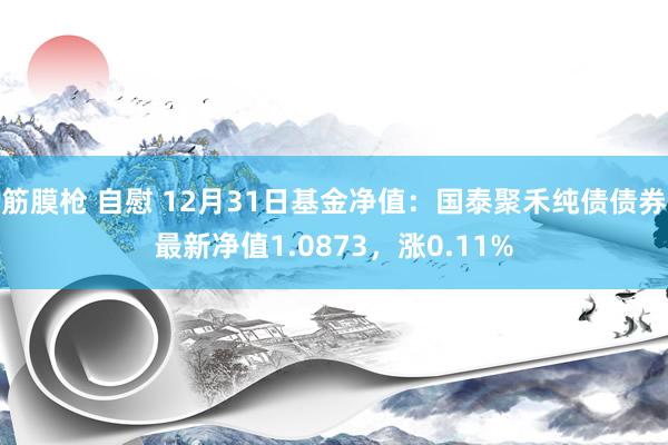 筋膜枪 自慰 12月31日基金净值：国泰聚禾纯债债券最新净值1.0873，涨0.11%