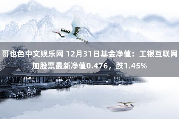 哥也色中文娱乐网 12月31日基金净值：工银互联网加股票最新净值0.476，跌1.45%