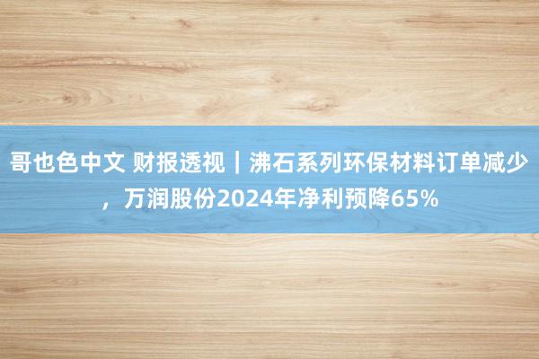 哥也色中文 财报透视｜沸石系列环保材料订单减少，万润股份2024年净利预降65%