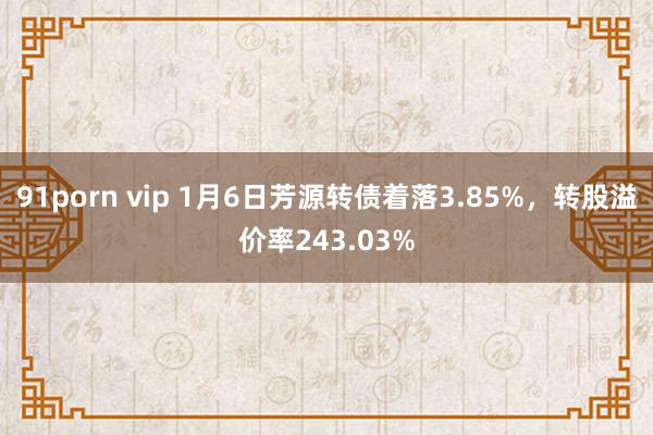 91porn vip 1月6日芳源转债着落3.85%，转股溢价率243.03%