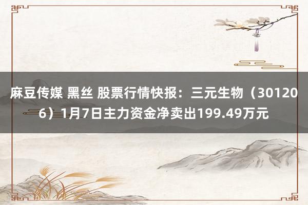 麻豆传媒 黑丝 股票行情快报：三元生物（301206）1月7日主力资金净卖出199.49万元