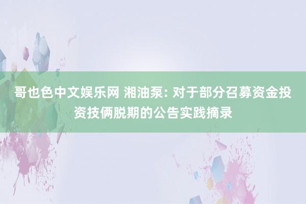 哥也色中文娱乐网 湘油泵: 对于部分召募资金投资技俩脱期的公告实践摘录