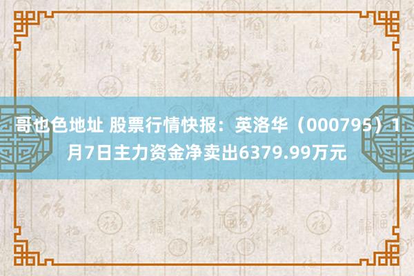 哥也色地址 股票行情快报：英洛华（000795）1月7日主力资金净卖出6379.99万元