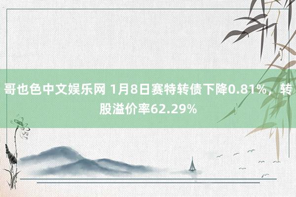 哥也色中文娱乐网 1月8日赛特转债下降0.81%，转股溢价率62.29%