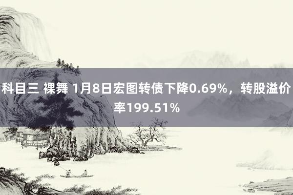 科目三 裸舞 1月8日宏图转债下降0.69%，转股溢价率199.51%