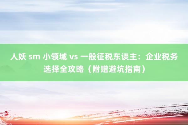 人妖 sm 小领域 vs 一般征税东谈主：企业税务选择全攻略（附赠避坑指南）