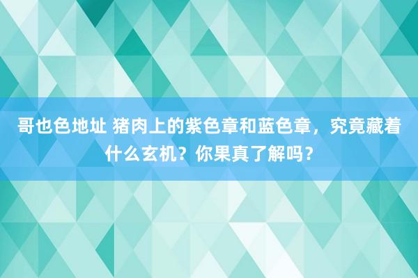 哥也色地址 猪肉上的紫色章和蓝色章，究竟藏着什么玄机？你果真了解吗？