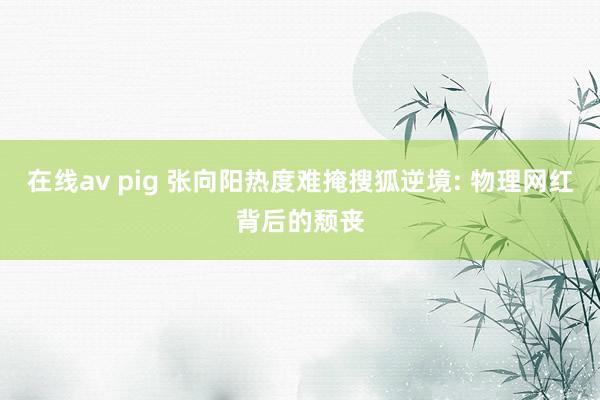 在线av pig 张向阳热度难掩搜狐逆境: 物理网红背后的颓丧