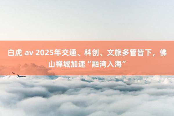 白虎 av 2025年交通、科创、文旅多管皆下，佛山禅城加速“融湾入海”