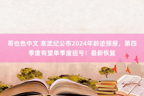 哥也色中文 寒武纪公布2024年龄迹预报，第四季度有望单季度扭亏！最新恢复