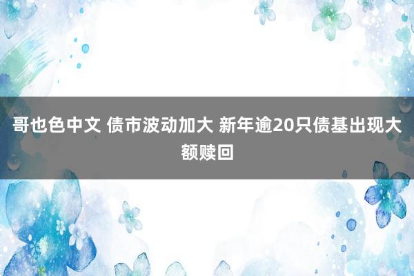 哥也色中文 债市波动加大 新年逾20只债基出现大额赎回