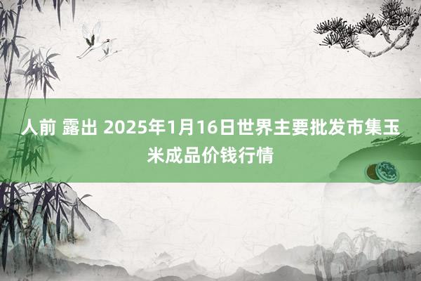 人前 露出 2025年1月16日世界主要批发市集玉米成品价钱行情