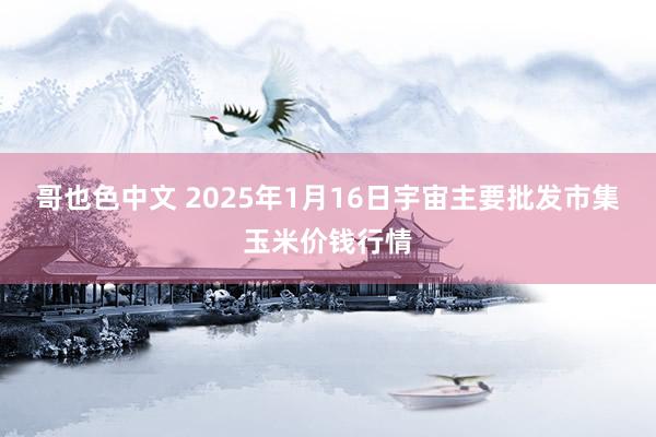 哥也色中文 2025年1月16日宇宙主要批发市集玉米价钱行情