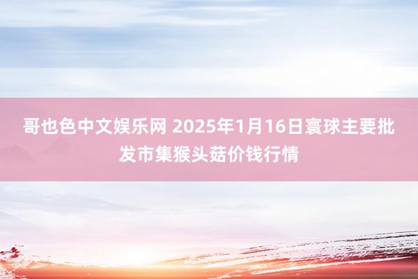 哥也色中文娱乐网 2025年1月16日寰球主要批发市集猴头菇价钱行情