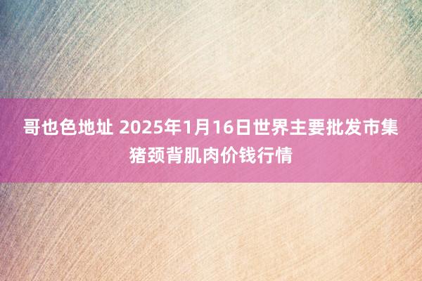 哥也色地址 2025年1月16日世界主要批发市集猪颈背肌肉价钱行情