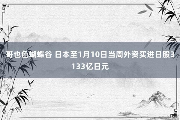 哥也色蝴蝶谷 日本至1月10日当周外资买进日股3133亿日元